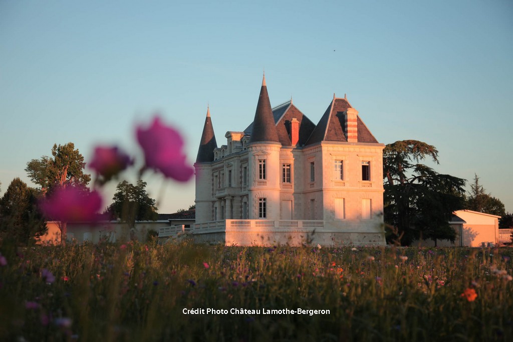Chateau Lamothe Bergeron