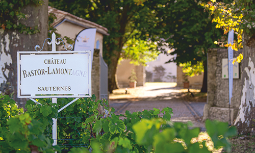 Visit-and-tasting-at-Château-Bastor-Lamontagne