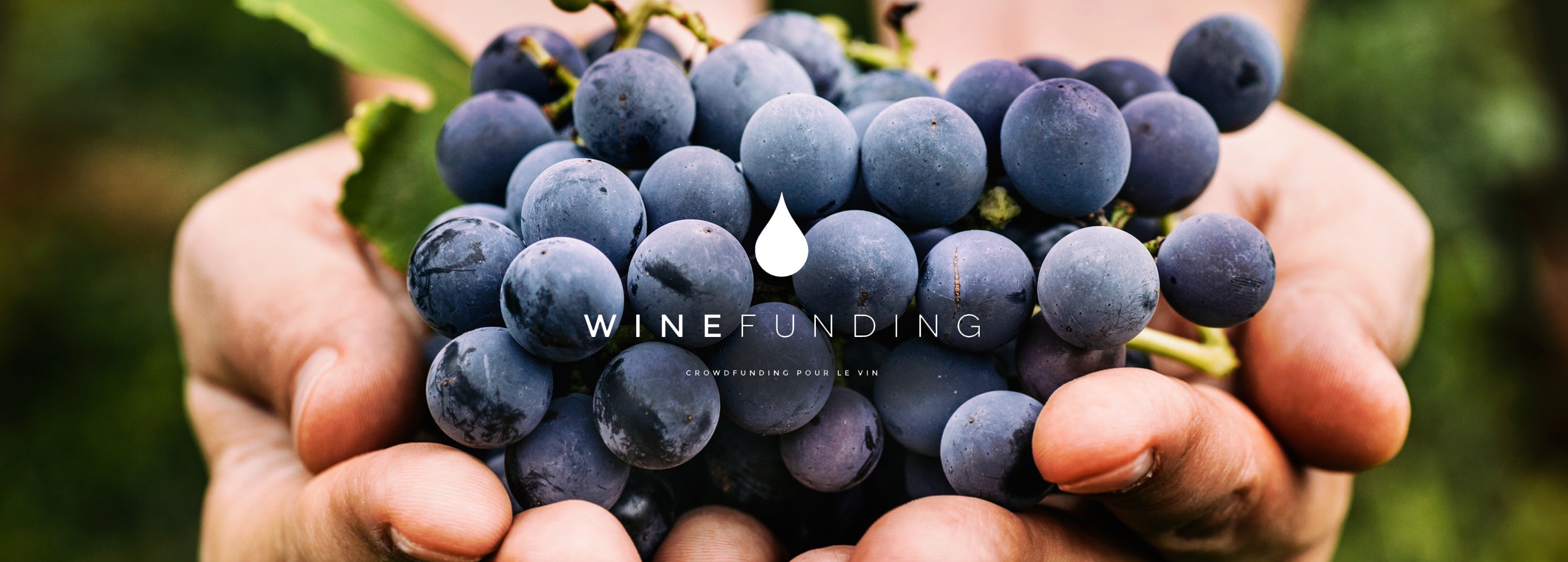 winefunding