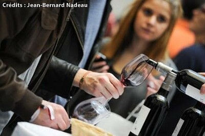 Bordeaux Tasting : 6 conseils pratiques aux futurs visiteurs