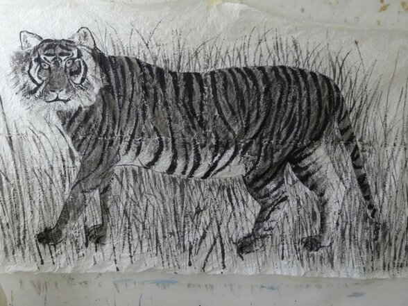 tigres animaux desnoettes